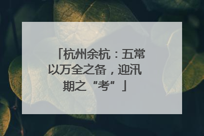 杭州余杭：五常以万全之备，迎汛期之“考”