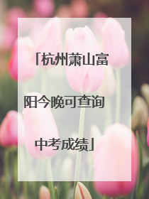 杭州萧山富阳今晚可查询中考成绩