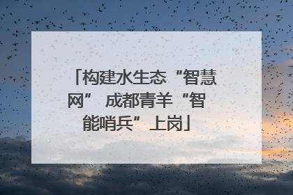 构建水生态“智慧网” 成都青羊“智能哨兵”上岗