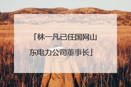 林一凡已任国网山东电力公司董事长