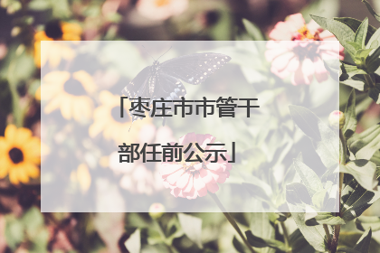枣庄市市管干部任前公示