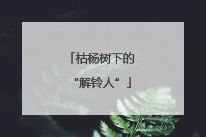 枯杨树下的“解铃人”