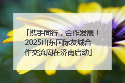 携手同行，合作发展！2025山东国际友城合作交流周在济南启动