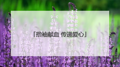 撸袖献血 传递爱心