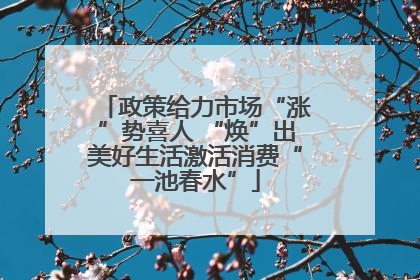 政策给力市场“涨”势喜人 “焕”出美好生活激活消费“一池春水”