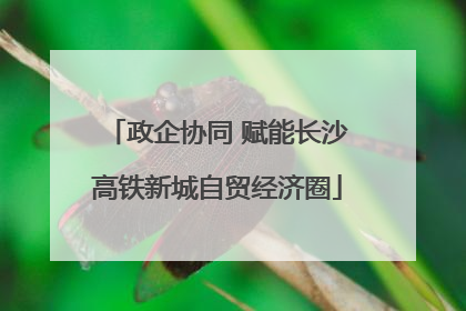 政企协同 赋能长沙高铁新城自贸经济圈