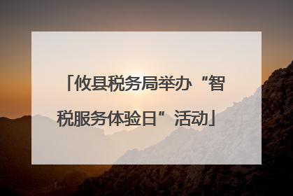 攸县税务局举办“智税服务体验日”活动