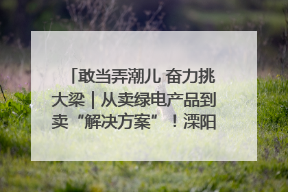 敢当弄潮儿 奋力挑大梁｜从卖绿电产品到卖“解决方案”！溧阳立足产业优势建成五大微电网示范项目