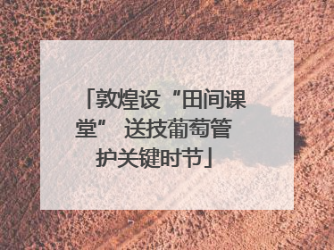 敦煌设“田间课堂” 送技葡萄管护关键时节