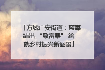 方城广安街道：蓝莓结出 “致富果” 绘就乡村振兴新图景