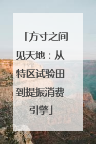 方寸之间见天地：从特区试验田到提振消费引擎