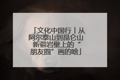 文化中国行丨从阿尔泰山到昆仑山 新疆岩壁上的“朋友圈”画的啥
