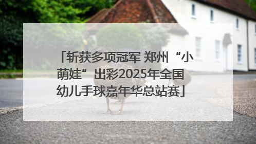 斩获多项冠军 郑州“小萌娃”出彩2025年全国幼儿手球嘉年华总站赛