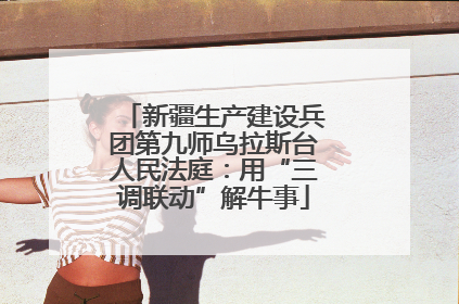 新疆生产建设兵团第九师乌拉斯台人民法庭：用“三调联动”解牛事