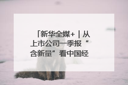 新华全媒+｜从上市公司一季报“含新量”看中国经济发展向“新”