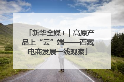 新华全媒+｜高原产品上“云”端——西藏电商发展一线观察