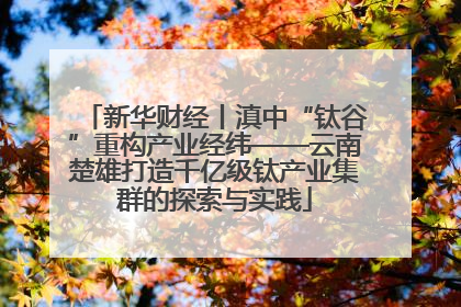 新华财经丨滇中“钛谷”重构产业经纬——云南楚雄打造千亿级钛产业集群的探索与实践