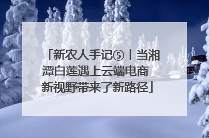 新农人手记⑤丨当湘潭白莲遇上云端电商 新视野带来了新路径