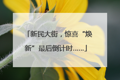 新民大街，惊喜“焕新”最后倒计时……