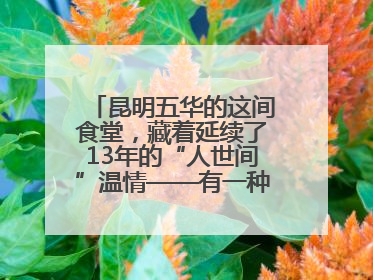 昆明五华的这间食堂，藏着延续了13年的“人世间”温情——有一种叫云南的生活之365天