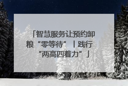 智慧服务让预约卸粮“零等待”丨践行“两高四着力”