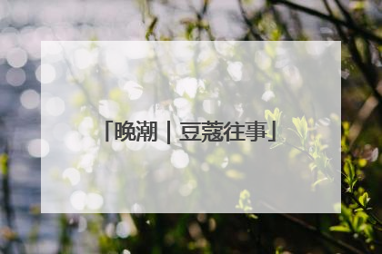 晚潮｜豆蔻往事