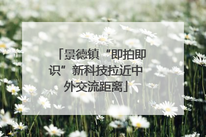 景德镇“即拍即识”新科技拉近中外交流距离