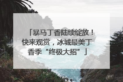 暴马丁香陆续绽放！快来观赏，冰城最美丁香季“终极大招”