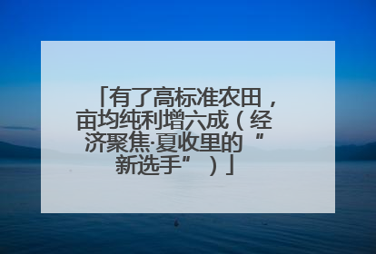 有了高标准农田，亩均纯利增六成（经济聚焦·夏收里的“新选手”）