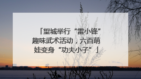 望城举行“雷小锋”趣味武术活动，六百萌娃变身“功夫小子”
