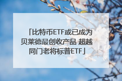 比特币ETF或已成为贝莱德最创收产品 超越同门老将标普ETF