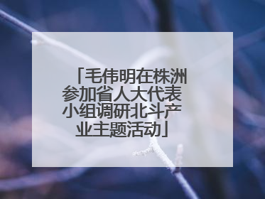 毛伟明在株洲参加省人大代表小组调研北斗产业主题活动