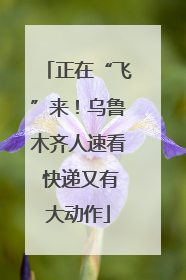 正在“飞”来！乌鲁木齐人速看 快递又有大动作