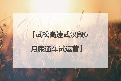 武松高速武汉段6月底通车试运营