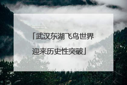 武汉东湖飞鸟世界迎来历史性突破