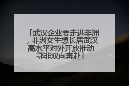 武汉企业要走进非洲，非洲女生想长居武汉 高水平对外开放推动鄂非双向奔赴