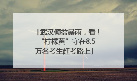 武汉倾盆暴雨，看！“柠檬黄”守在8.5万名考生赶考路上