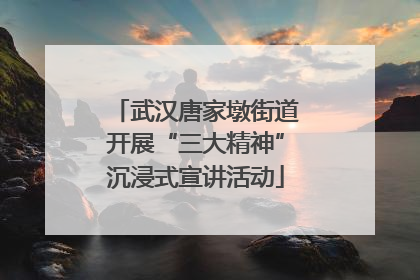 武汉唐家墩街道开展“三大精神”沉浸式宣讲活动