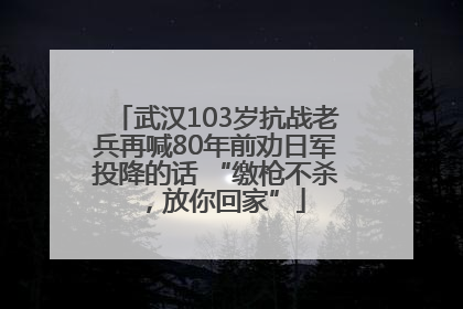 武汉103岁抗战老兵再喊80年前劝日军投降的话 “缴枪不杀，放你回家”