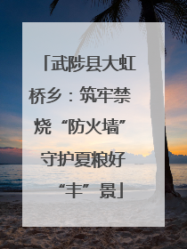 武陟县大虹桥乡：筑牢禁烧“防火墙” 守护夏粮好“丰”景