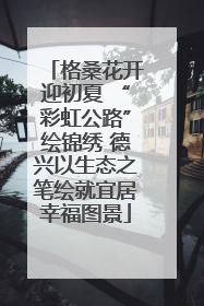 格桑花开迎初夏 “彩虹公路”绘锦绣 德兴以生态之笔绘就宜居幸福图景