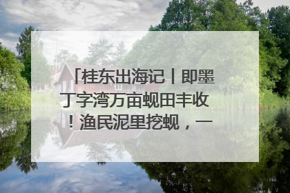 桂东出海记丨即墨丁字湾万亩蚬田丰收！渔民泥里挖蚬，一天上岸过千斤