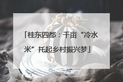 桂东四都：千亩“冷水米”托起乡村振兴梦