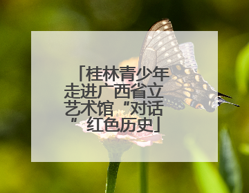 桂林青少年走进广西省立艺术馆“对话”红色历史