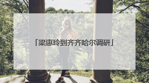 梁惠玲到齐齐哈尔调研