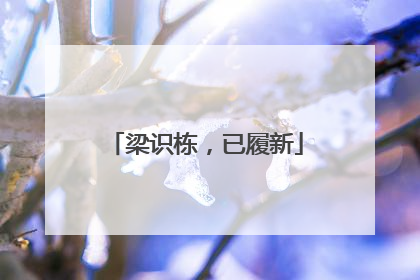 梁识栋，已履新