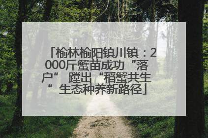 榆林榆阳镇川镇：2000斤蟹苗成功“落户” 蹚出“稻蟹共生”生态种养新路径