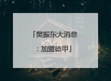 樊振东大消息：加盟德甲