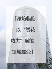 潍坊临朐：以“绣花功夫”赋能镇域蝶变