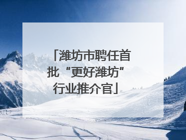 潍坊市聘任首批“更好潍坊”行业推介官